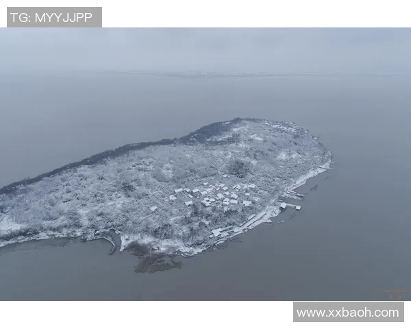 探索盐野真人底板的独特魅力与应用价值解析 探索盐野真人底板的独特魅力与应用价值解析