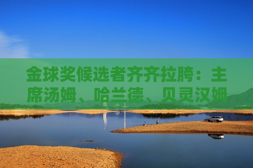 金球奖候选者齐齐拉胯：主席汤姆、哈兰德、贝灵汉姆1.8亿欧元兄弟在欧冠比赛中全部“失踪”